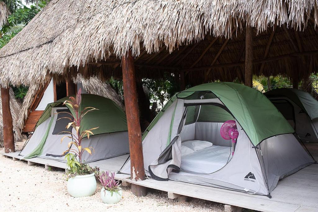 Mapache Hostel & Camping Isla Holbox Buitenkant foto
