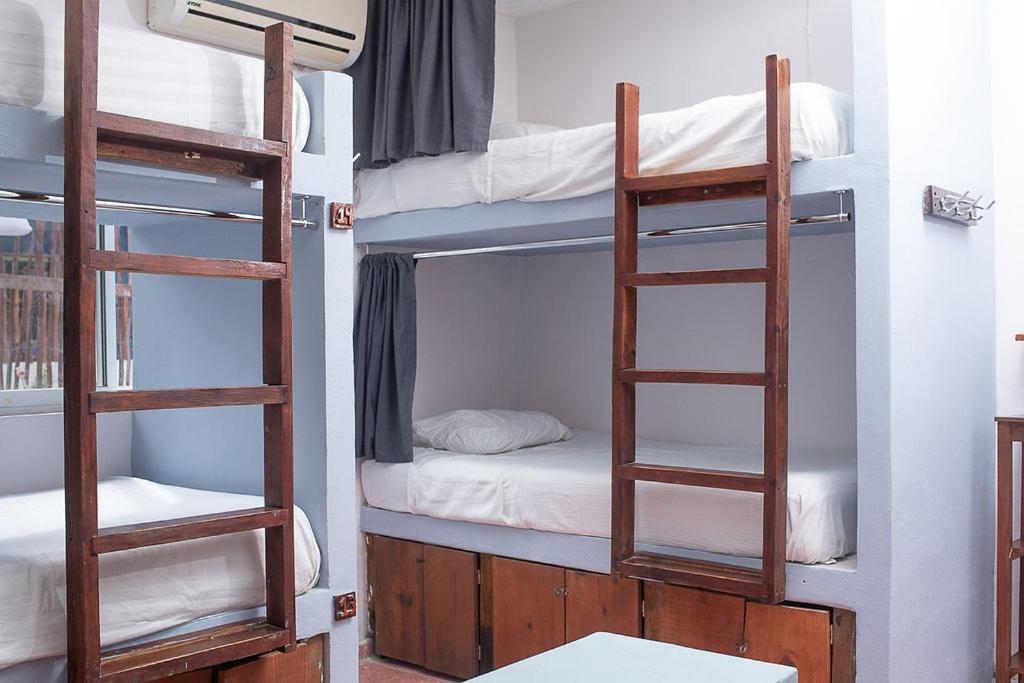 Mapache Hostel & Camping Isla Holbox Buitenkant foto