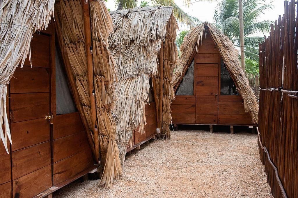 Mapache Hostel & Camping Isla Holbox Buitenkant foto